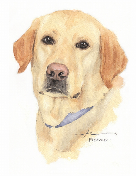 464x600 Yellow Lab Watercolor By Mike Theuer - Lab Painting