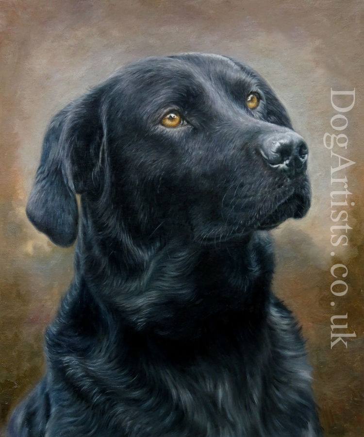 750x900 Black Labrador Paintings Dog Artists - Lab Painting