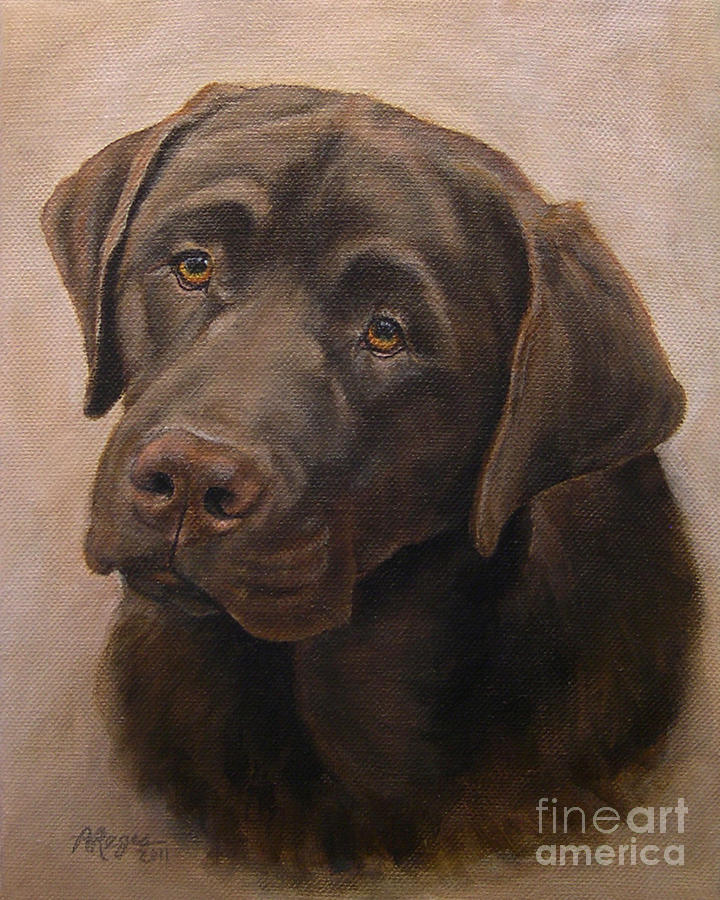 720x900 Chocolate Labrador Retriever Portrait Painting By Amy Reges - Lab Painting
