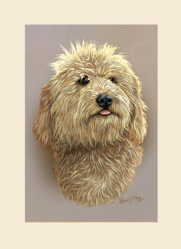 364x499 Original Labradoodle Painting - Labradoodle Painting