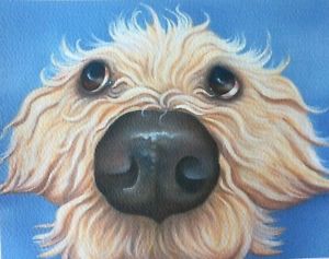 300x237 Golden Labradoodle Painting Fine Art Giclee Print Ebay - Labradoodle Painting