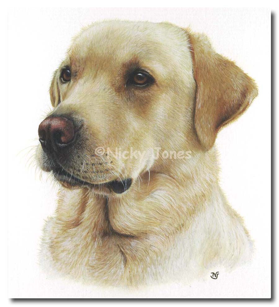 900x990 Golden Retriever Water Color Paintings - Labrador Painting
