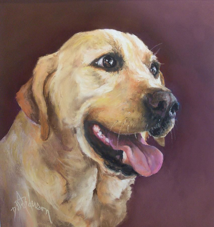 850x900 Kind, Friendly Eyes Akc Breeds, Labrador And Otters - Labrador Painting