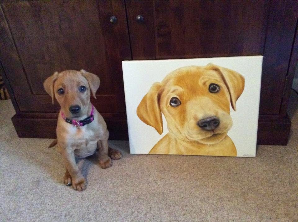 960x717 Labrador Dog Portraits, Paintings, Art And Gifts Pet Portraits - Labrador Painting