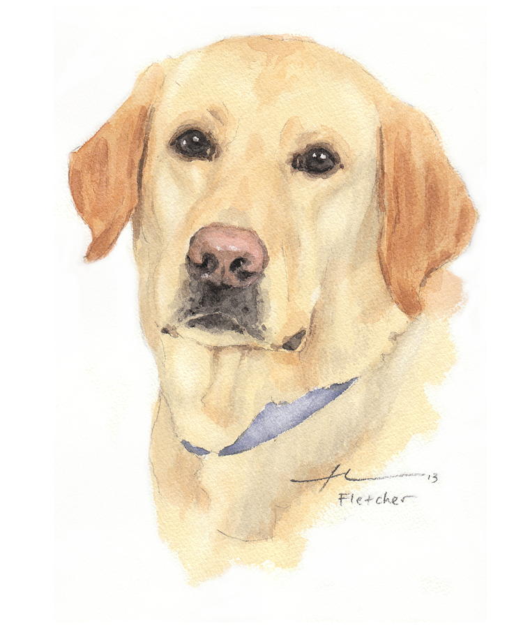 760x900 Labrador Dog Watercolor Portrait Painting By Mike Theuer - Labrador Painting