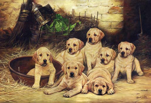 515x350 Original Yellow Labrador Pup Painting - Labrador Painting