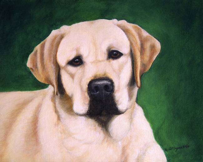 650x520 Yellow Labrador Painting Portrait - Labrador Painting