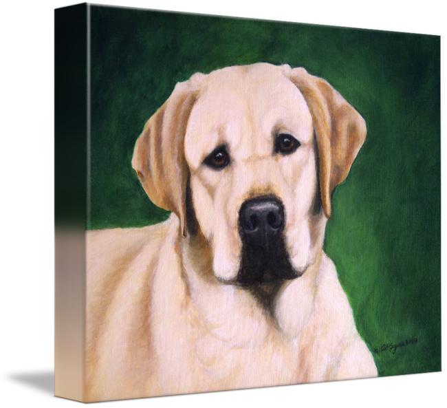 Labrador Painting at PaintingValley.com | Explore collection of ...