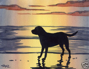 300x232 Labrador Retriever Art Print Sunset Painting Dog 8 X 10 Signed By - Labrador Retriever Painting