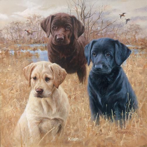 Labrador Retriever Painting at PaintingValley.com | Explore collection ...