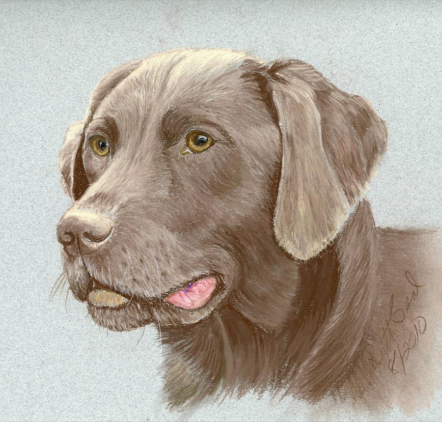 900x859 Chocolate Labrador Retriever Painting By Ruth Seal - Labrador Retriever Painting