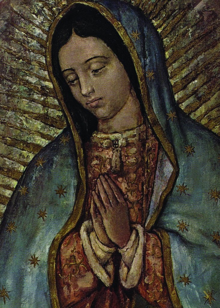 732x1024 Our Lady Of Guadalupe - Lady Of Guadalupe Painting