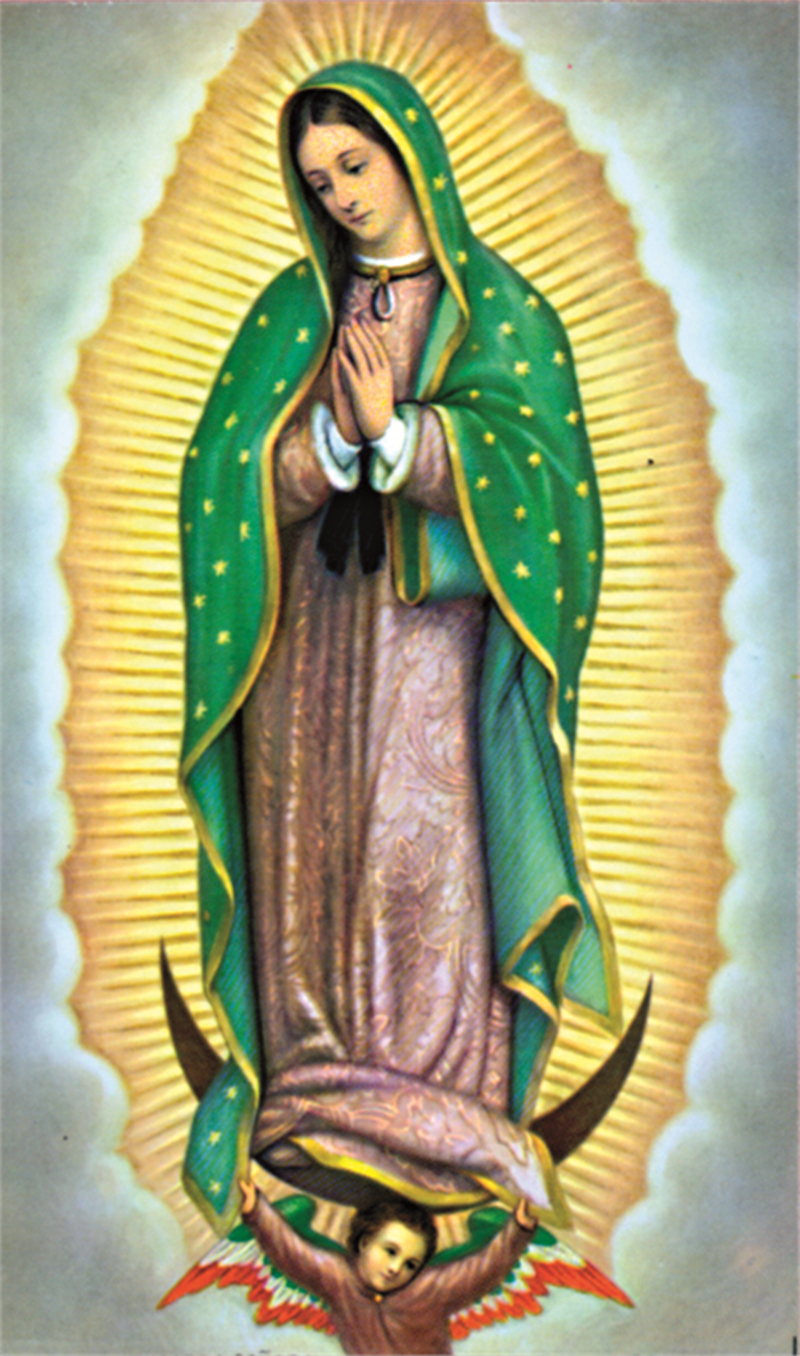 Lady Of Guadalupe Painting at PaintingValley.com | Explore collection ...