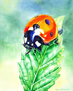 243x300 Ladybug Paintings Fine Art America - Ladybug Painting