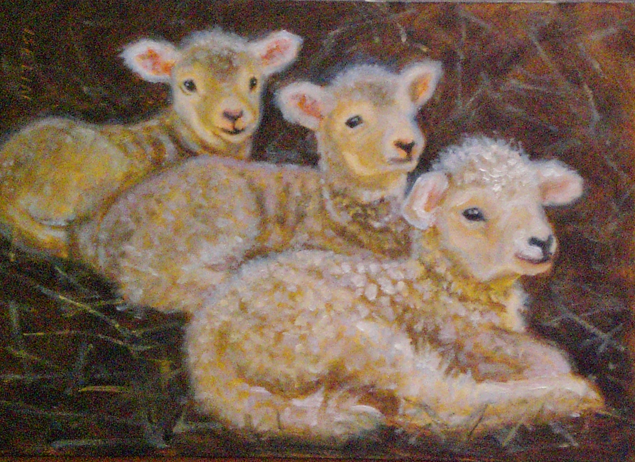 Три овечки