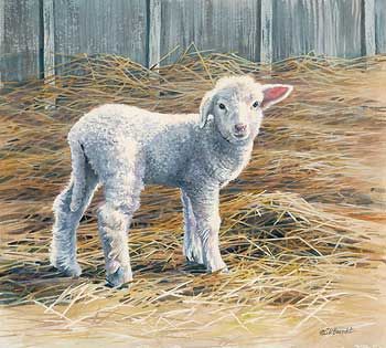350x315 New Beginning Lamb By Susan D. Bourdet. Susan Bourdet - Lamb Painting