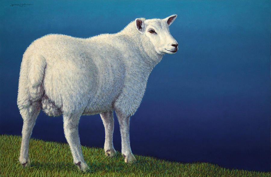 900x587 Sheep At The Edge Painting By James W Johnson - Lamb Painting