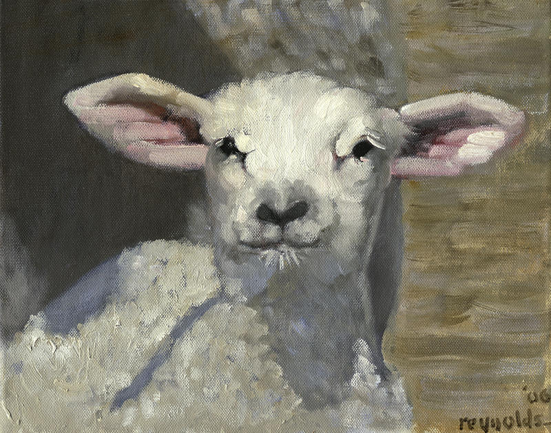 800x629 Spring Lamb Painting By John Reynolds - Lamb Painting