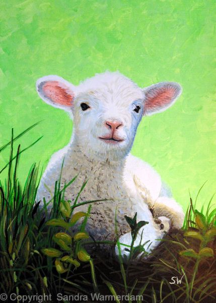 429x600 Lamb, Painting - Lamb Painting