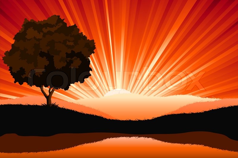 800x533 Amazing Natural Sunrise Landscape With Tree Silhouette - Landscape Silhouette Painting