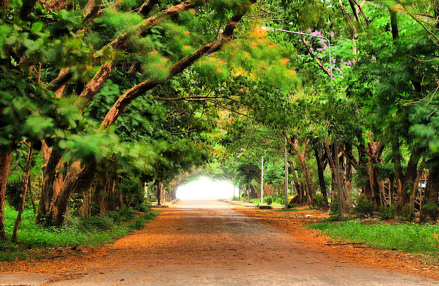 900x587 Landscape Painting Showing Road Painting By Parinya Kraivuttinun - Landscaping Painting Pictures