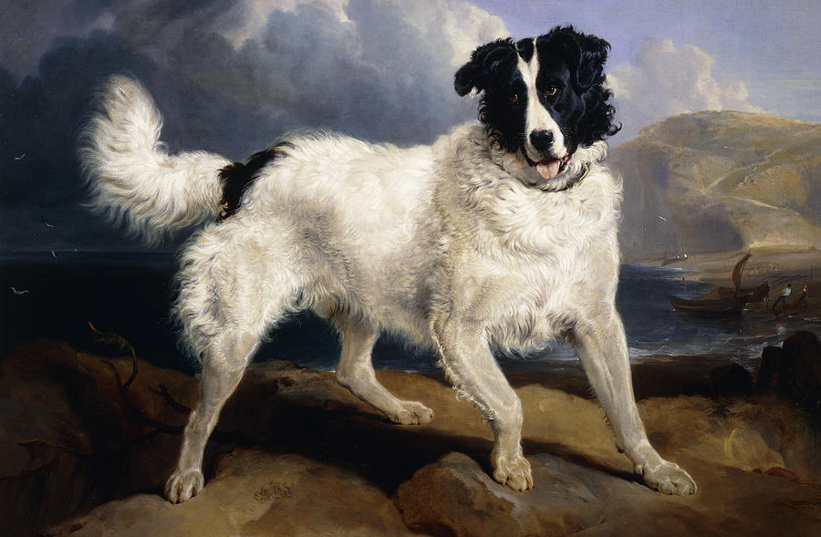 900x589 A Portrait Of Neptune Painting By Sir Edwin Landseer - Landseer Painting