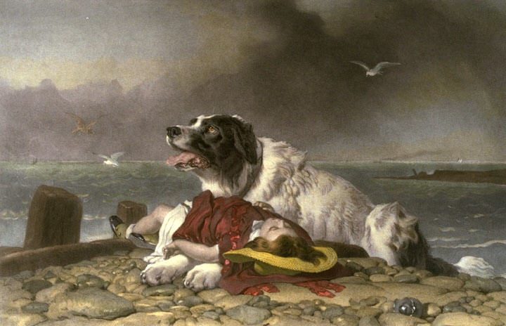 720x464 Saved - Landseer Painting