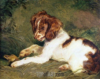 400x316 A Puppy Teasing A Frog Landseer Painting 7578 Topofart - Landseer Painting
