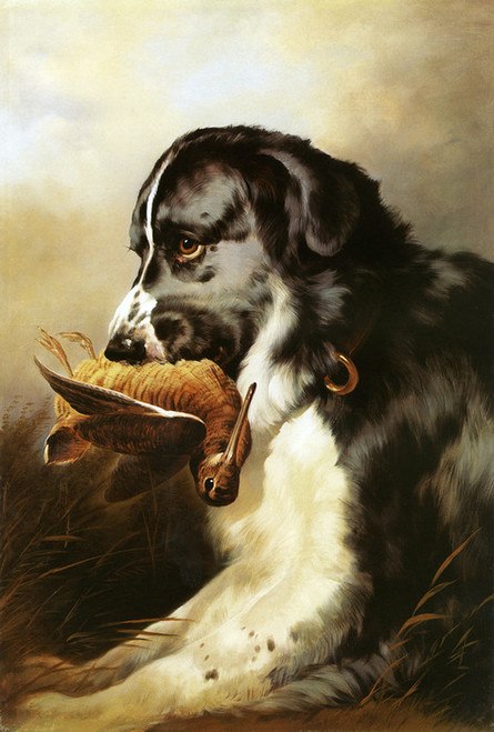 445x659 Art Prints Of Newfoundland Amp Woodcock By Edwin Henry Landseer - Landseer Painting