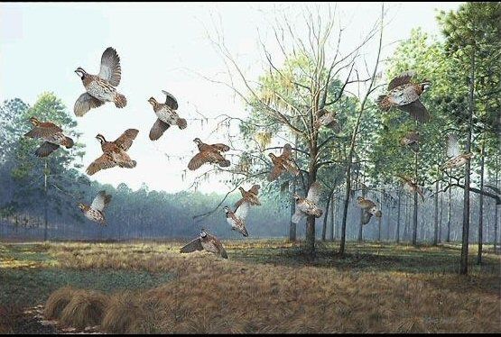 555x374 Art Pictures - Lanier Painting