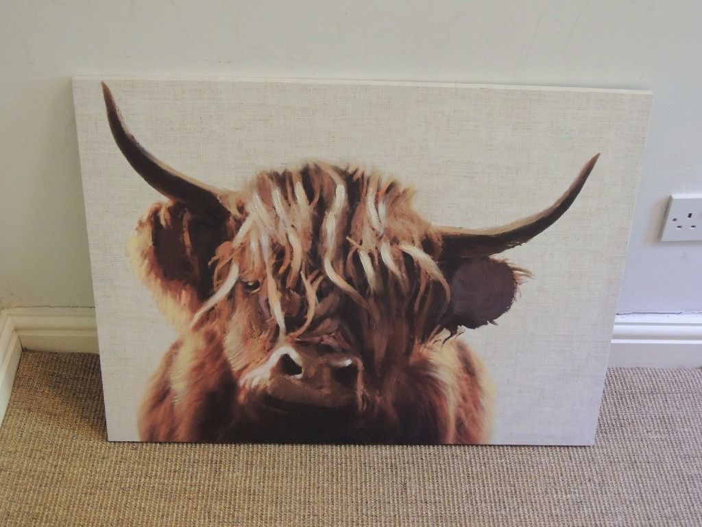 1024x768 Highland Cattle Cow - Large Cow Painting