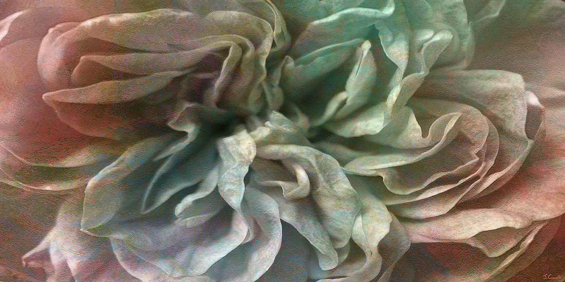 1100x550 Abstract Art Of Flower Abstract Floral Art Large Canvas Print - Large Floral Painting