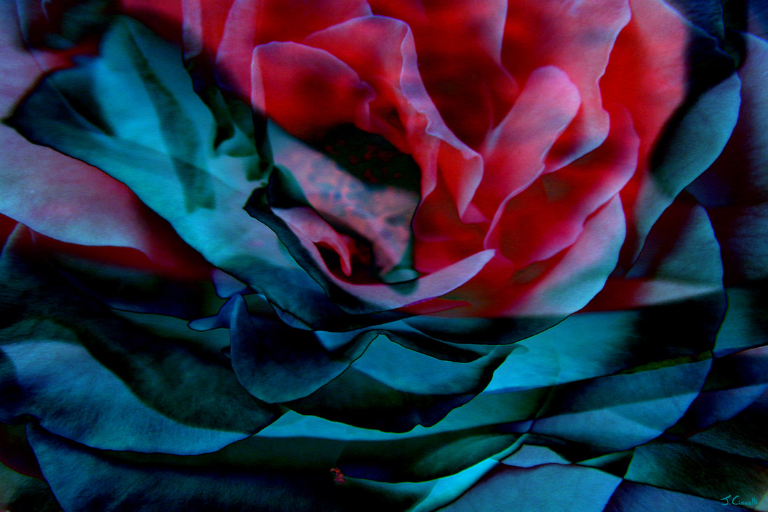 1100x733 Abstract Flower Art Archives - Large Floral Painting