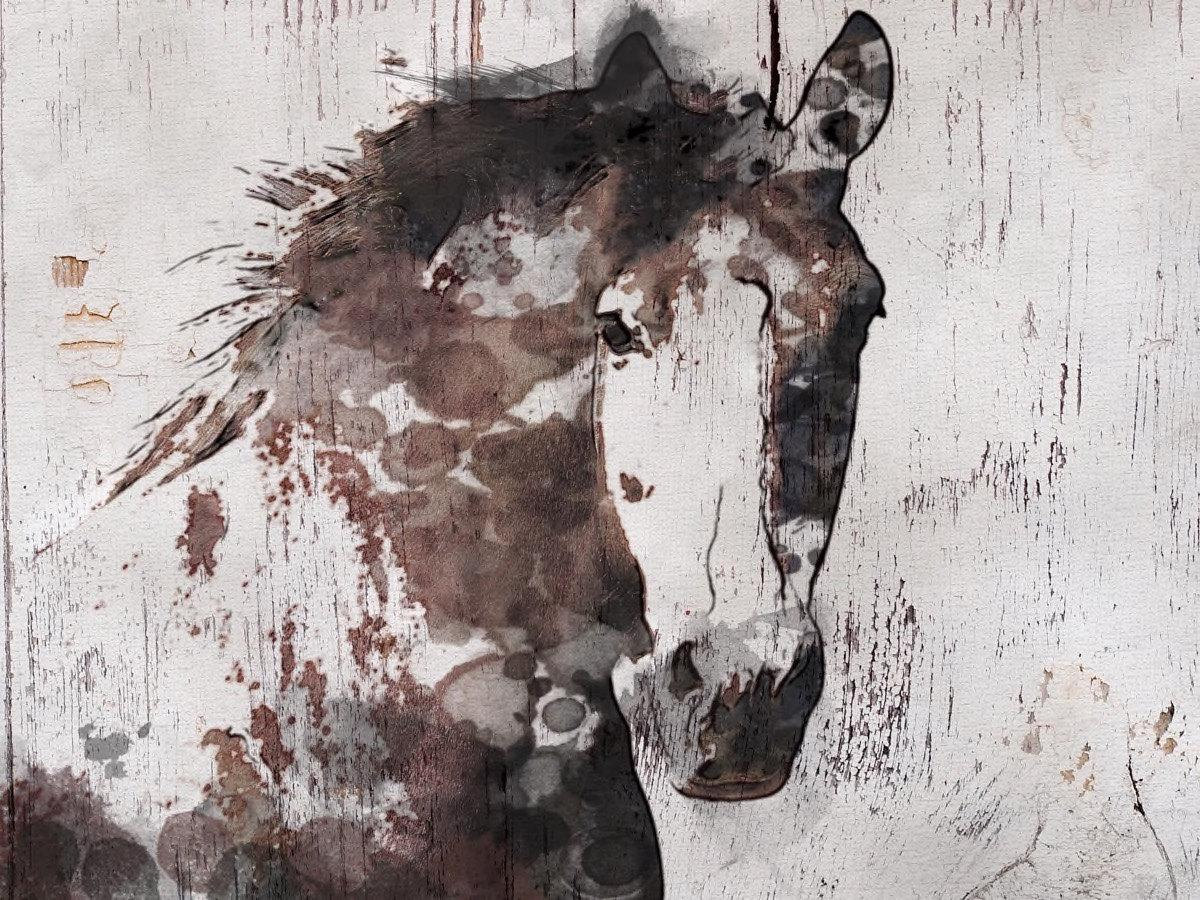 1200x900 Gorgeous Horse. Horse Art Large Canvas, Horse Art, Brown Rustic - Large Horse Painting