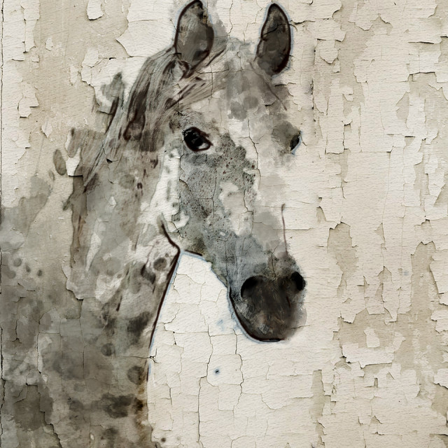 640x640 Gray Horse Canvas Print By Irena Orlov - Large Horse Painting