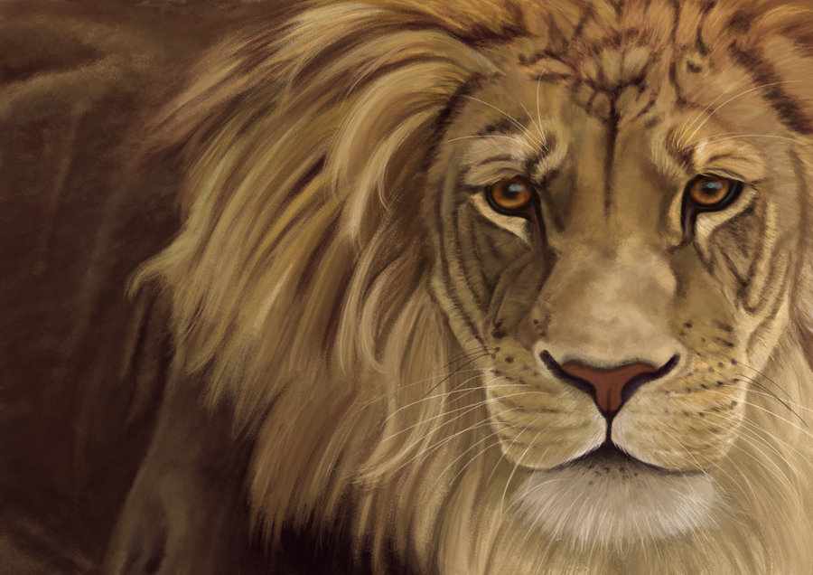 900x636 Large Lion, Digital Painting By Sarahharas07 - Large Lion Painting
