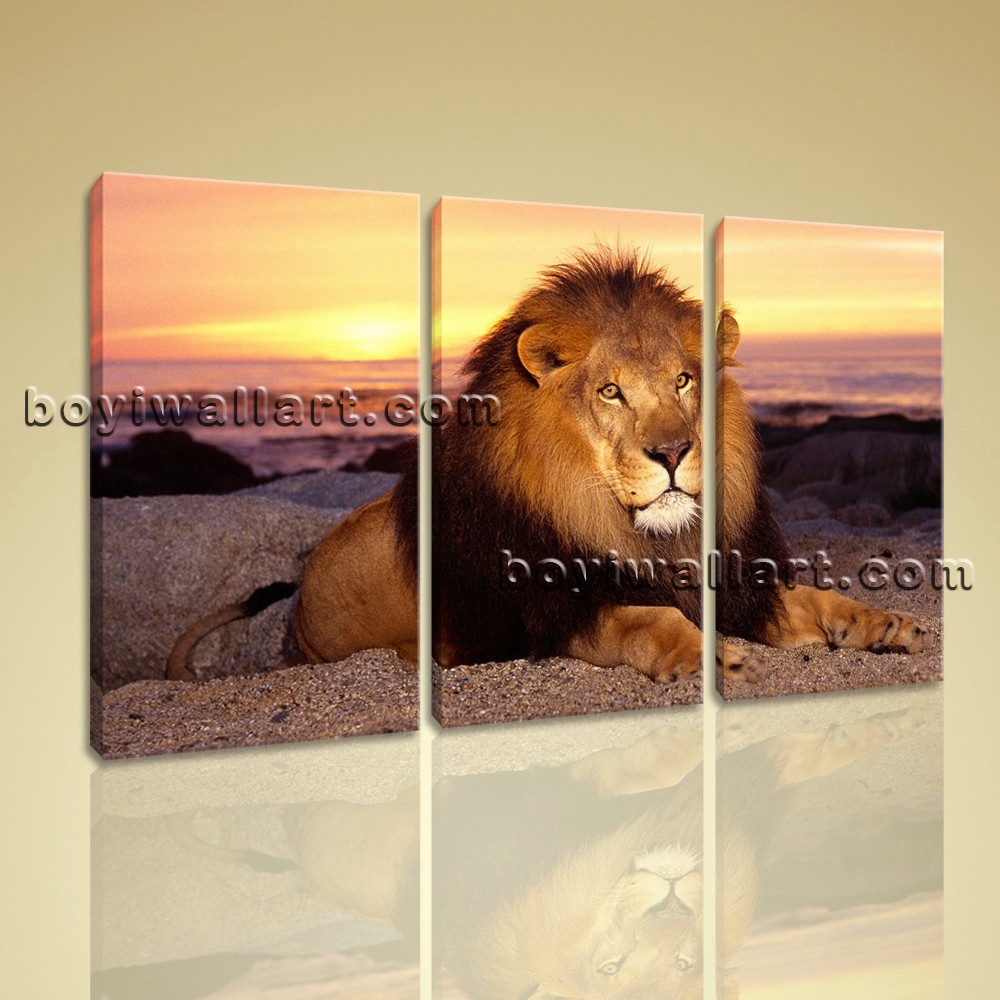 1000x1000 Large Lion Sunset Wall Decor Photography Oil Painting Bedroom 1 - Large Lion Painting