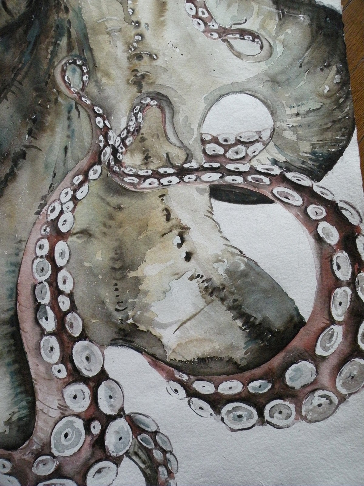 1200x1600 Large Octopus Watercolour - Large Octopus Painting