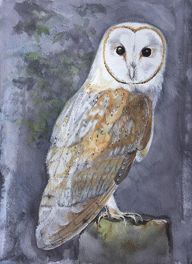 656x900 Large White Barn Owl Painting By Kathryn Dalziel - Large Owl Painting