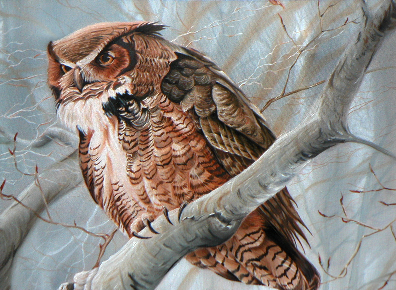 1266x926 Bateman Study Great Horned Owl By Jocarra - Large Owl Painting