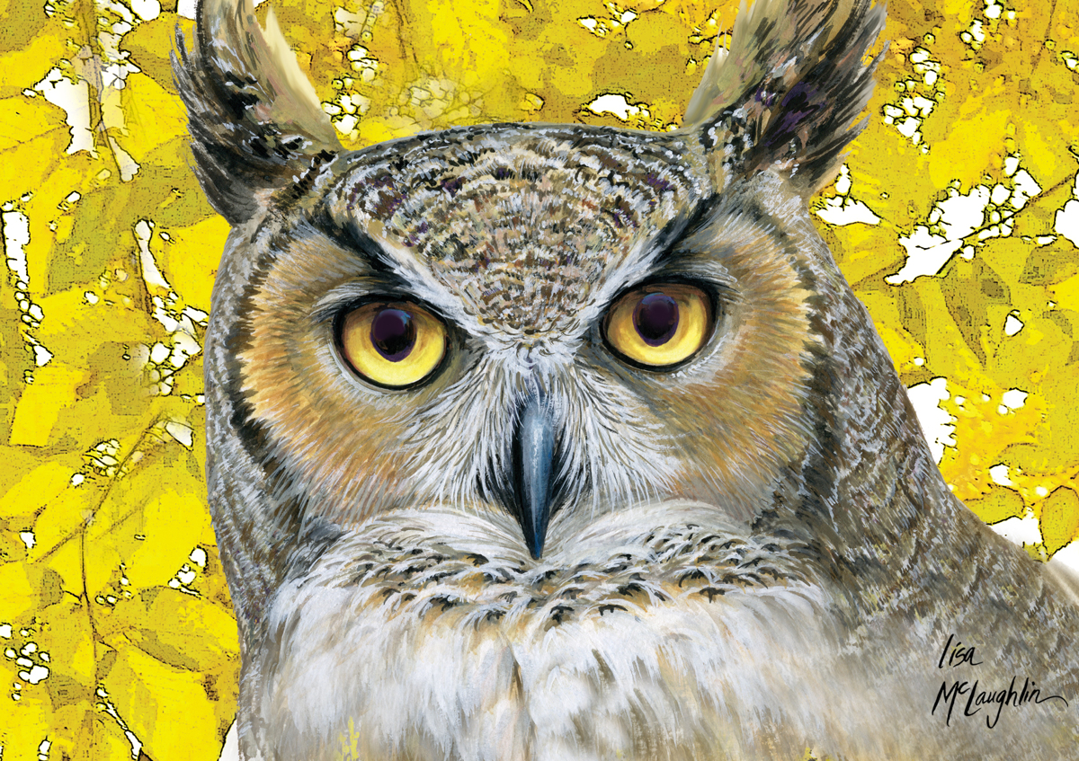 1200x847 Painting Great Horned Owl Autumn (Original Art By Lisa Mclaughlin) - Large Owl Painting