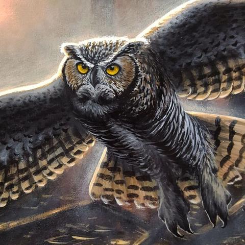 480x480 Painting Wildlife In A More Unique Way Wildlife And Art - Large Owl Painting