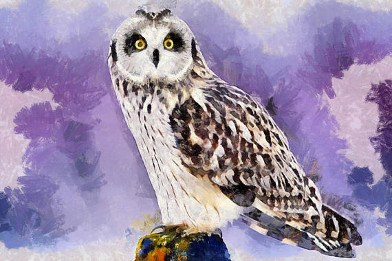 570x380 Purple Owl Canvas, Large Art Painting, Boho Chic Owl Poster - Large Owl Painting