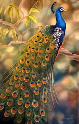 256x400 Large Peacock On Canvas Hd Unframed Print Art Painting Home Wall - Large Peacock Painting