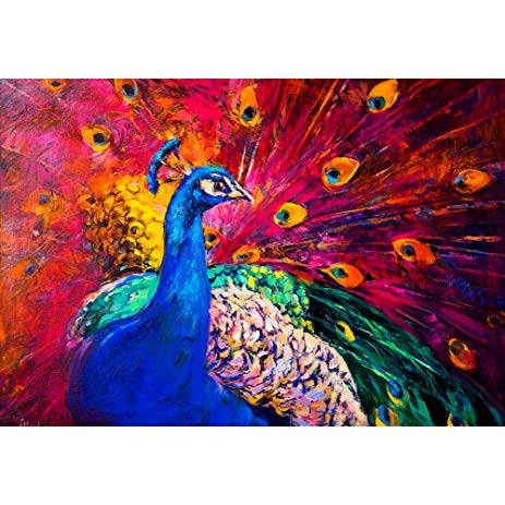 463x463 Beautiful Multicolored Peacock Wall Art Red Tail - Large Peacock Painting