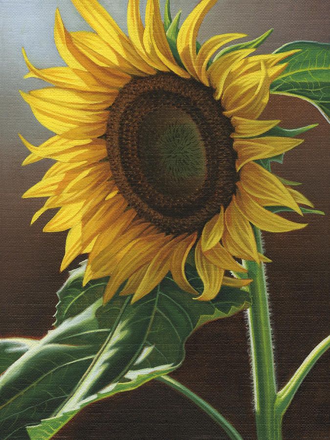 675x900 Giant Sunflower Painting By Steven Tetlow Sunflowers - Large Sunflower Painting