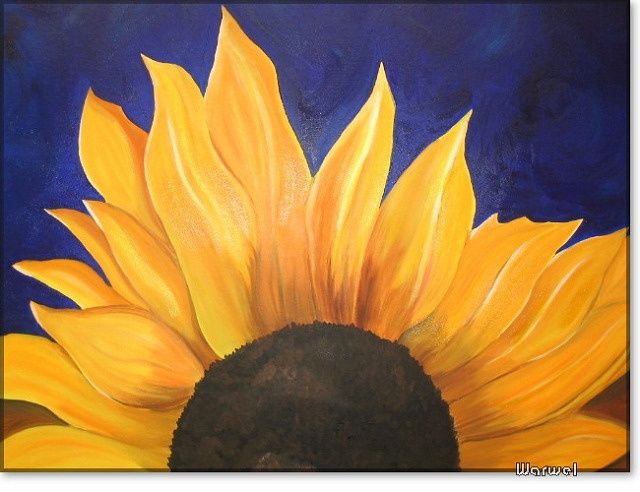 640x492 Sunflower ~ Oil Painting On Cotton Cardboard (Klaudia Warwel) - Large Sunflower Painting