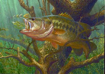 Largemouth Bass Painting at PaintingValley.com | Explore collection of ...