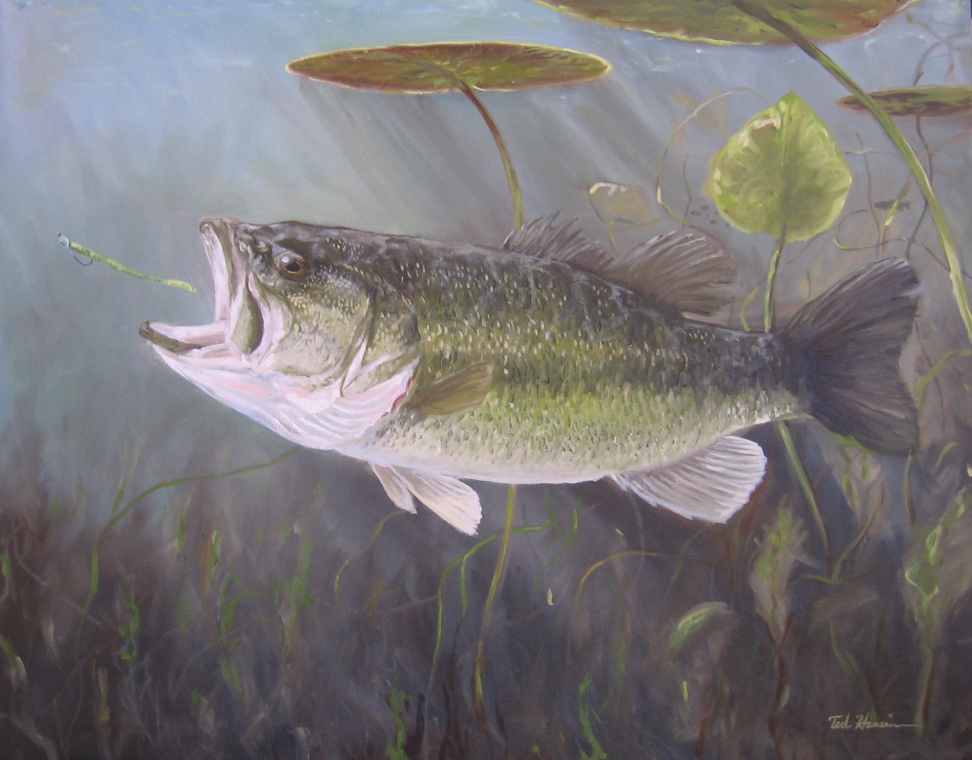 1897x1484 Largemouth Bass Painting Fine Art, Fine Fishing - Largemouth Bass Painting
