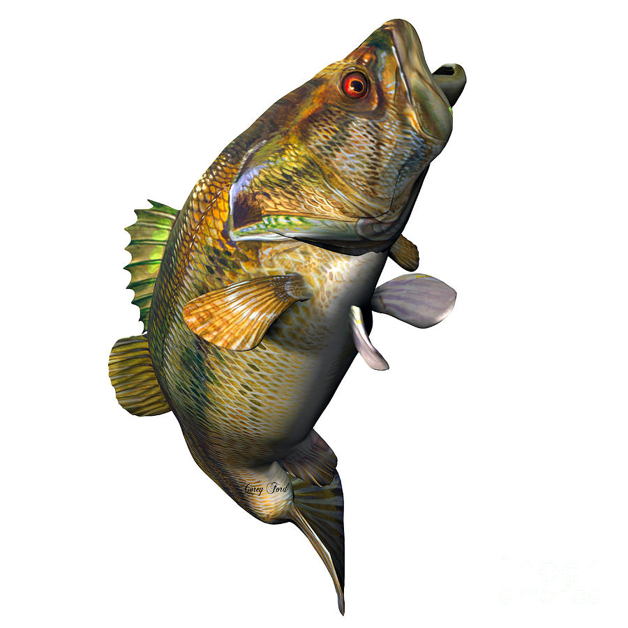 900x900 Largemouth Bass Strike Painting By Corey Ford - Largemouth Bass Painting